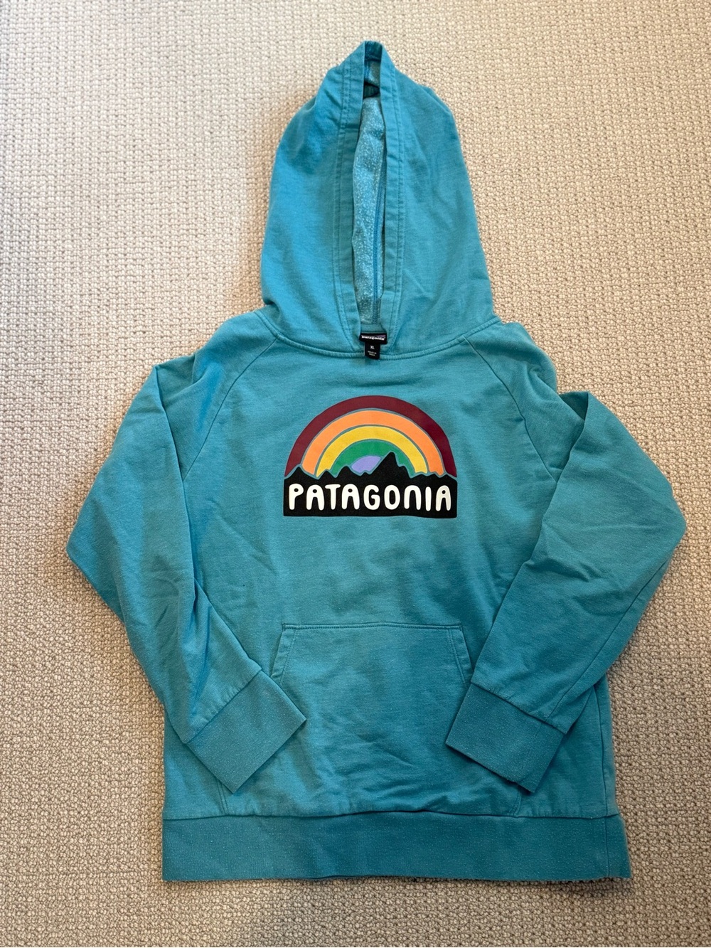 Patagonia Kids Teal Hoodie with Rainbow Logo
